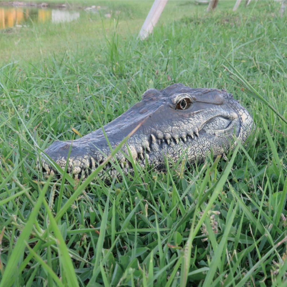 Daily Summit - Crocodile Head Remote Control Boat - Toy Crocodile Head RC