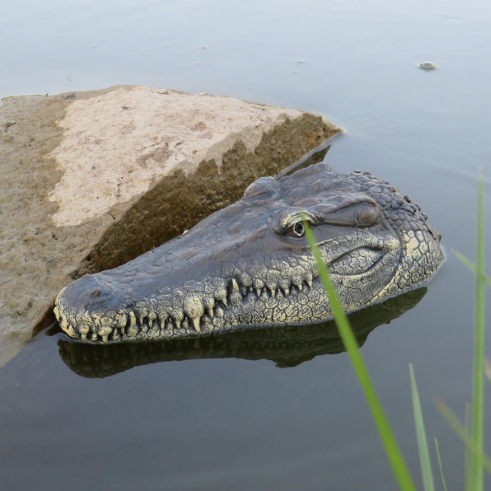 Daily Summit - Crocodile Head Remote Control Boat - Toy Crocodile Head RC